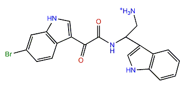 3,4-seco-6''-Debromohamacanthin A